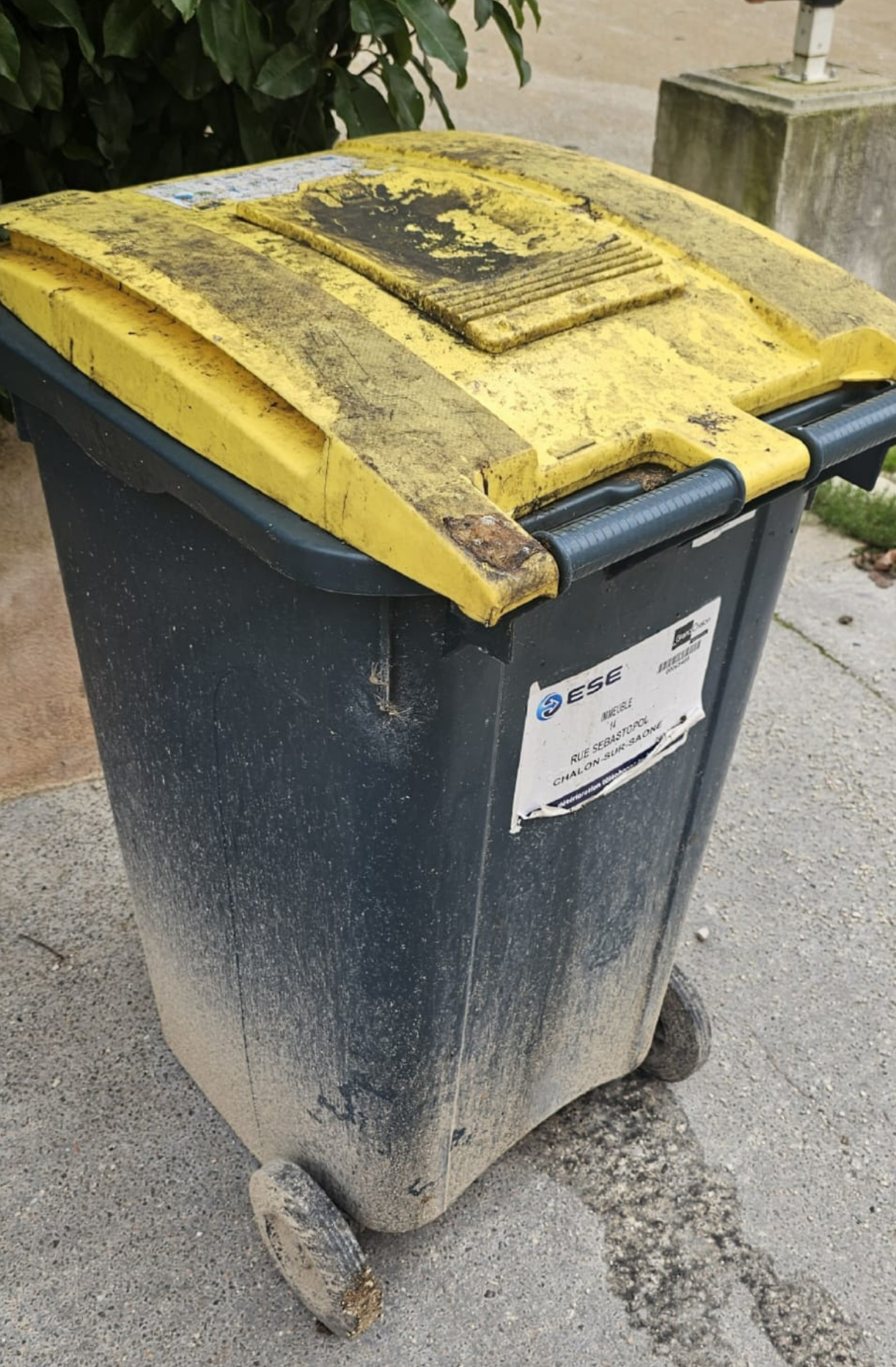 Bac avant lavage — extérieur